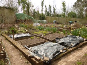 A breath of Spring II - April 2013